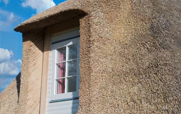 Tapnage thatch roof disadvantages